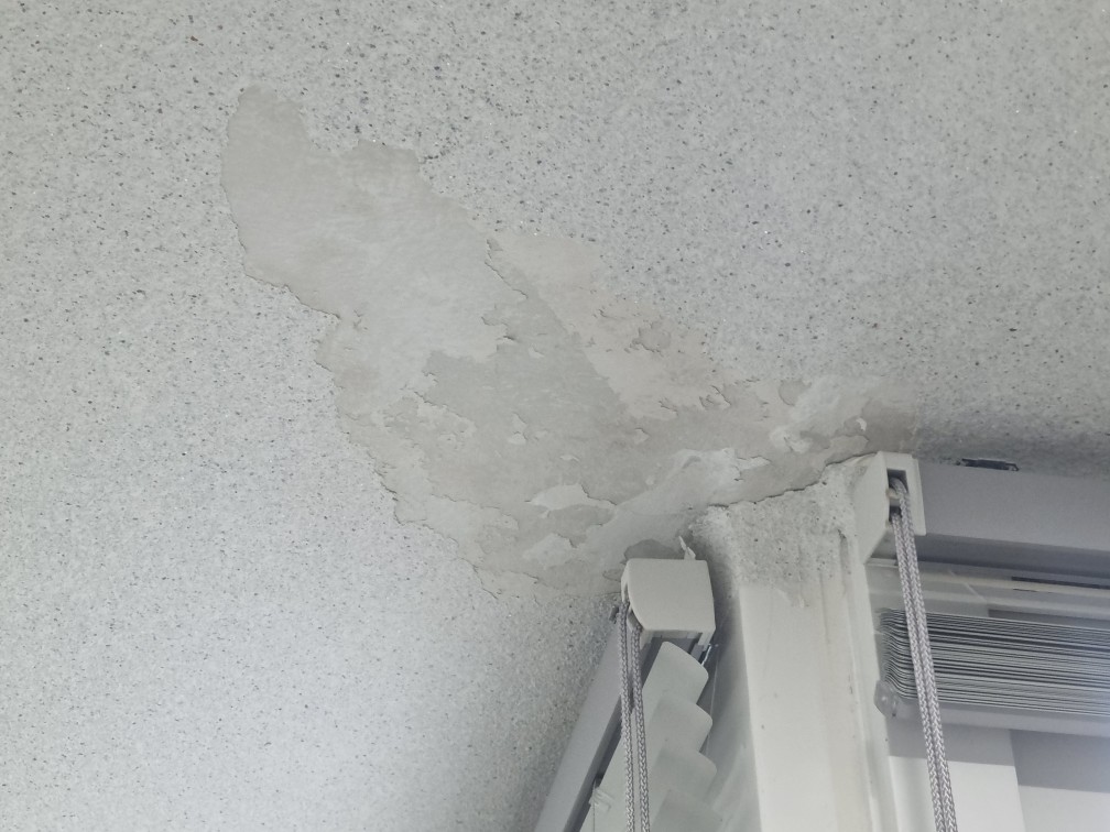 복구1